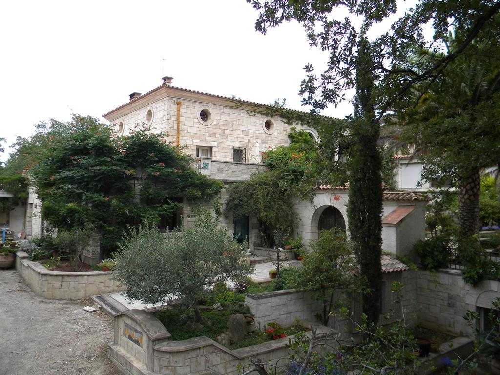 Les Arbousiers Hotel Ceret Exterior photo